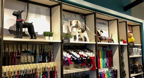 designer dog boutique.